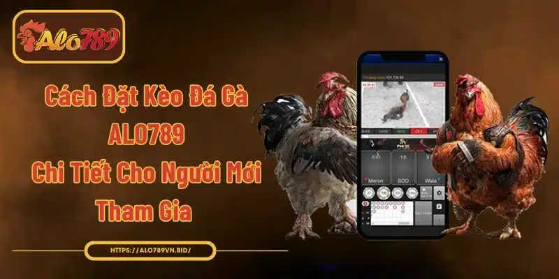Cách đặt kèo đá gà ALO789