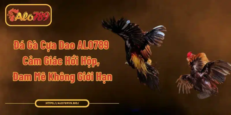 Đá Gà Cựa Dao ALO789