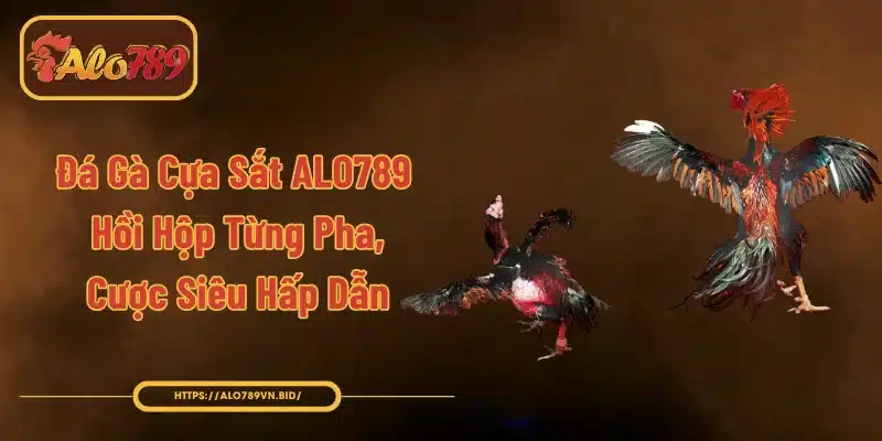 Đá Gà Cựa Sắt ALO789