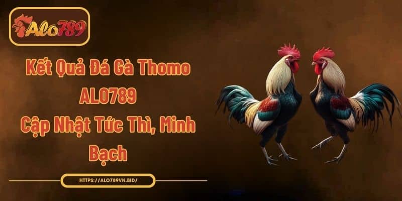 Kết Quả Đá Gà Thomo ALO789