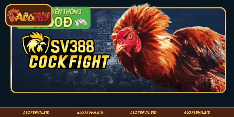 Lý do đá gà ALO789 lại chiếm trọn niềm tin của cộng đồng