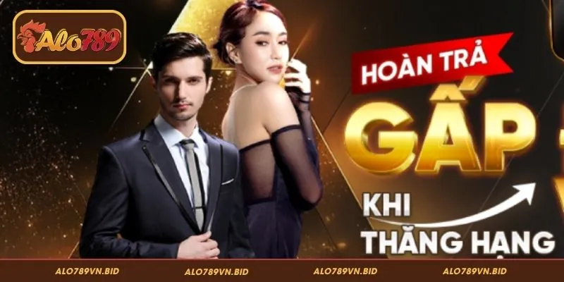 Những lưu ý khi trở thành VIP ALO789
