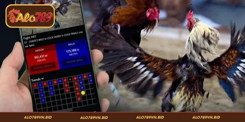 Thomo – Sảnh đá gà trực tuyến nổi bật tại ALO789